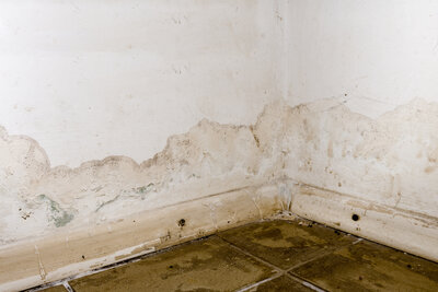 Basement foundation damaged by water