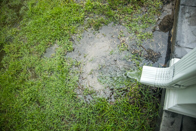 Gutter discharging water near a home's foundation