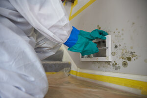 Restoration company in Canoga Park removing mold from walls