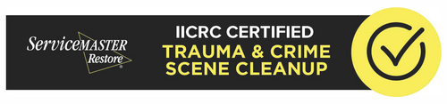 Trauma and Crime Scene